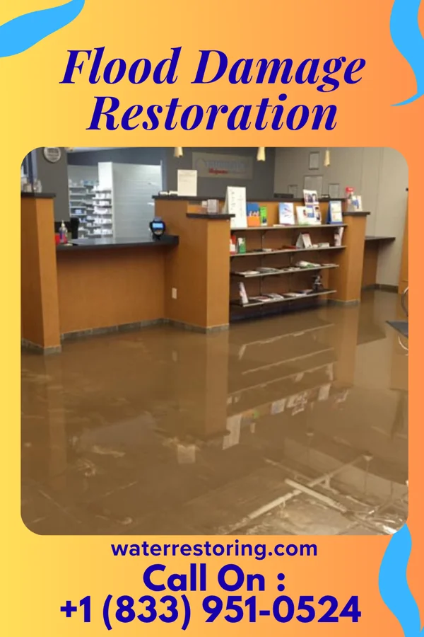 Flood Damage Restoration in Spring Hill, MN